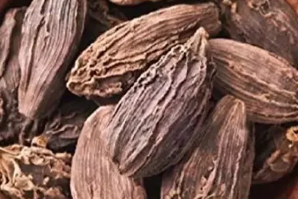 cropped-k5vrnzit7wxx2edx99z8g93x0zr3.webp