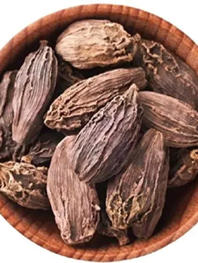 बड़ी इलायची के हैं बड़े फायदे, कई बीमारियों से एक साथ पाएं राहत